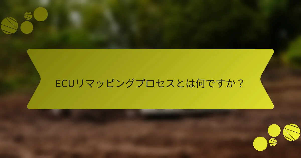 ECUリマッピングプロセスとは何ですか？